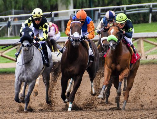 De beste online bookmakers